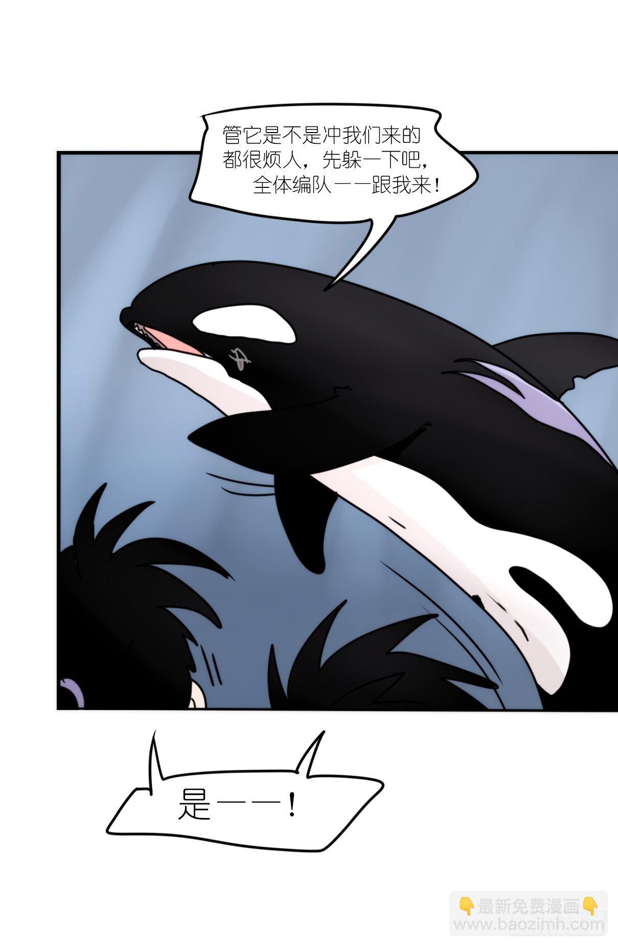 虎鲸篇：这些杀手不太冷05(1/2)-第178话