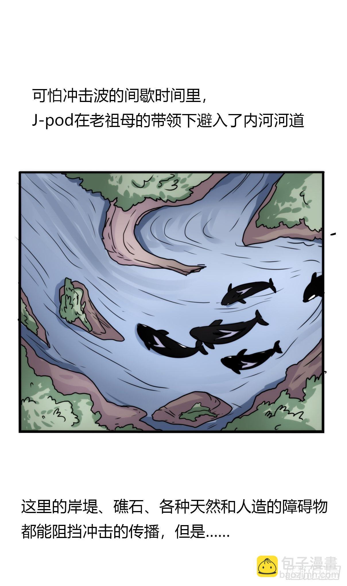 虎鲸篇：这些杀手不太冷05(1/2)-第178话