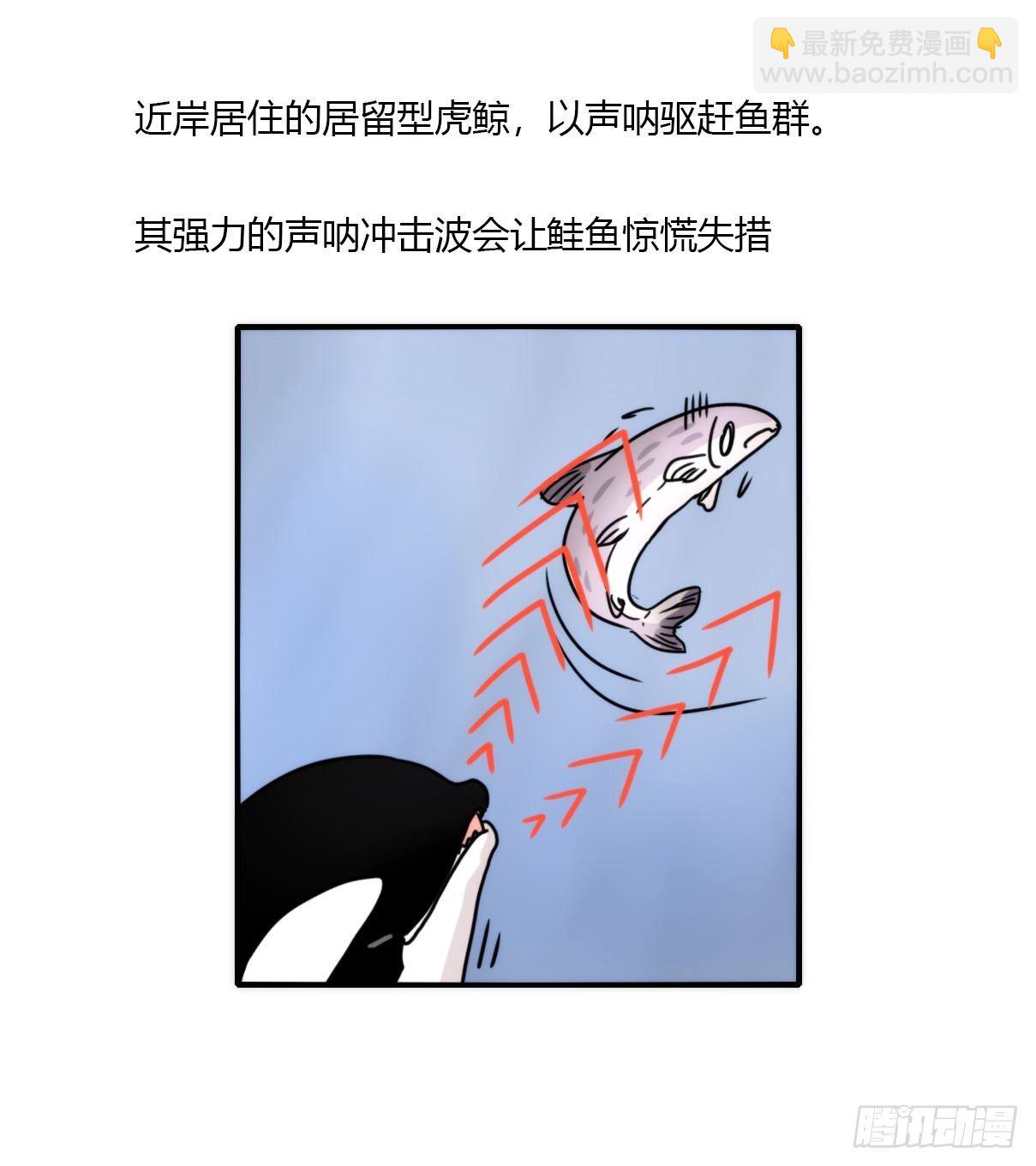 虎鲸篇：这些杀手不太冷05(1/2)-第178话