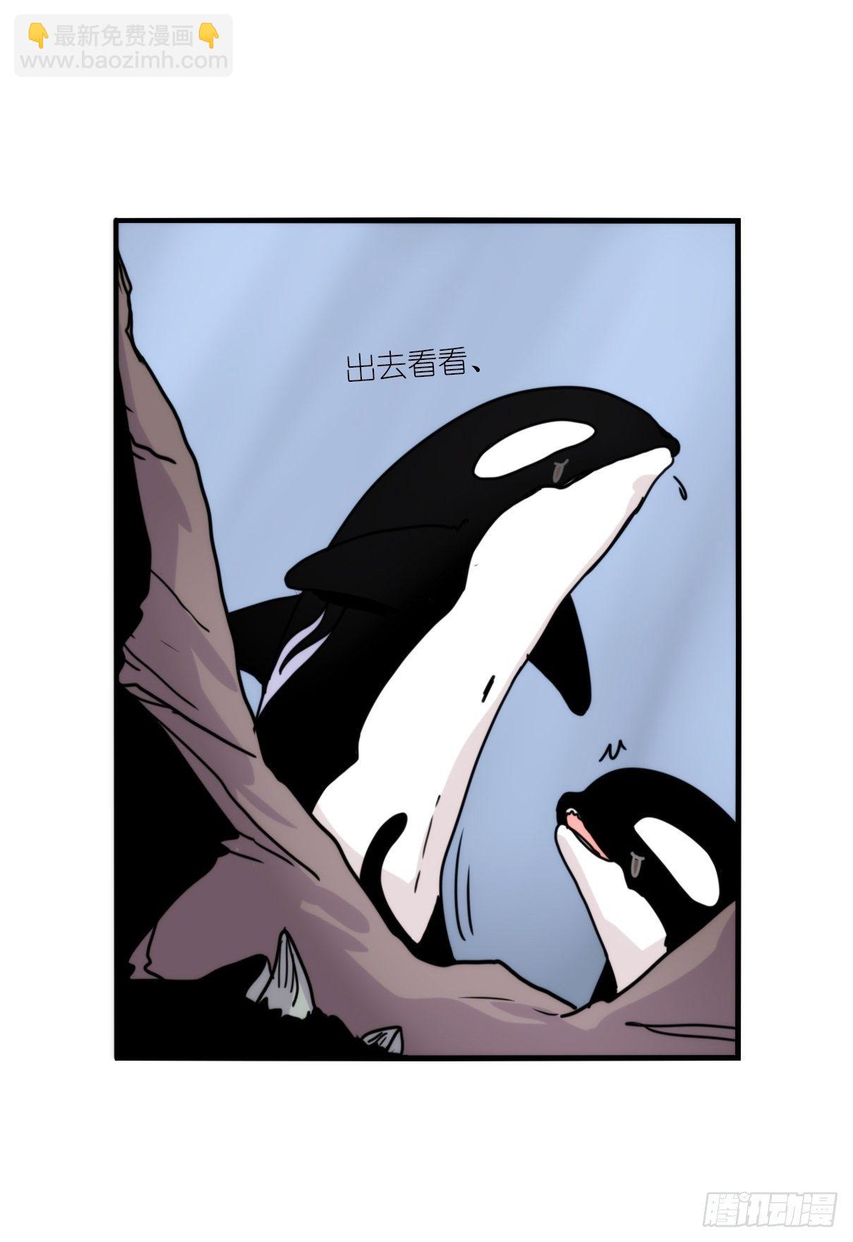 虎鲸篇：这些杀手不太冷05(1/2)-第178话