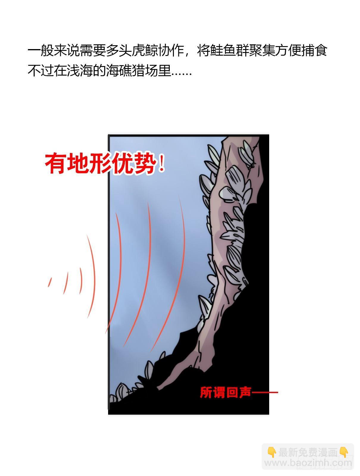 虎鲸篇：这些杀手不太冷05(1/2)-第178话