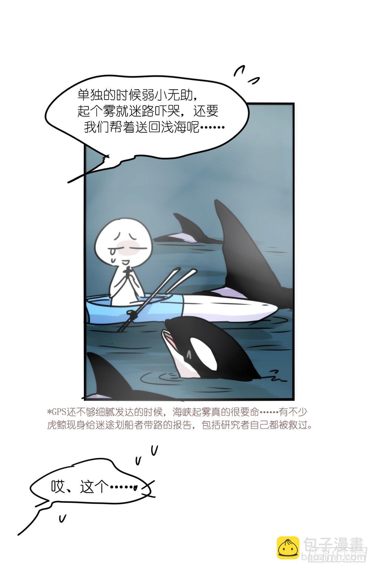 虎鲸篇：这些杀手不太冷07(1/2)-第180话