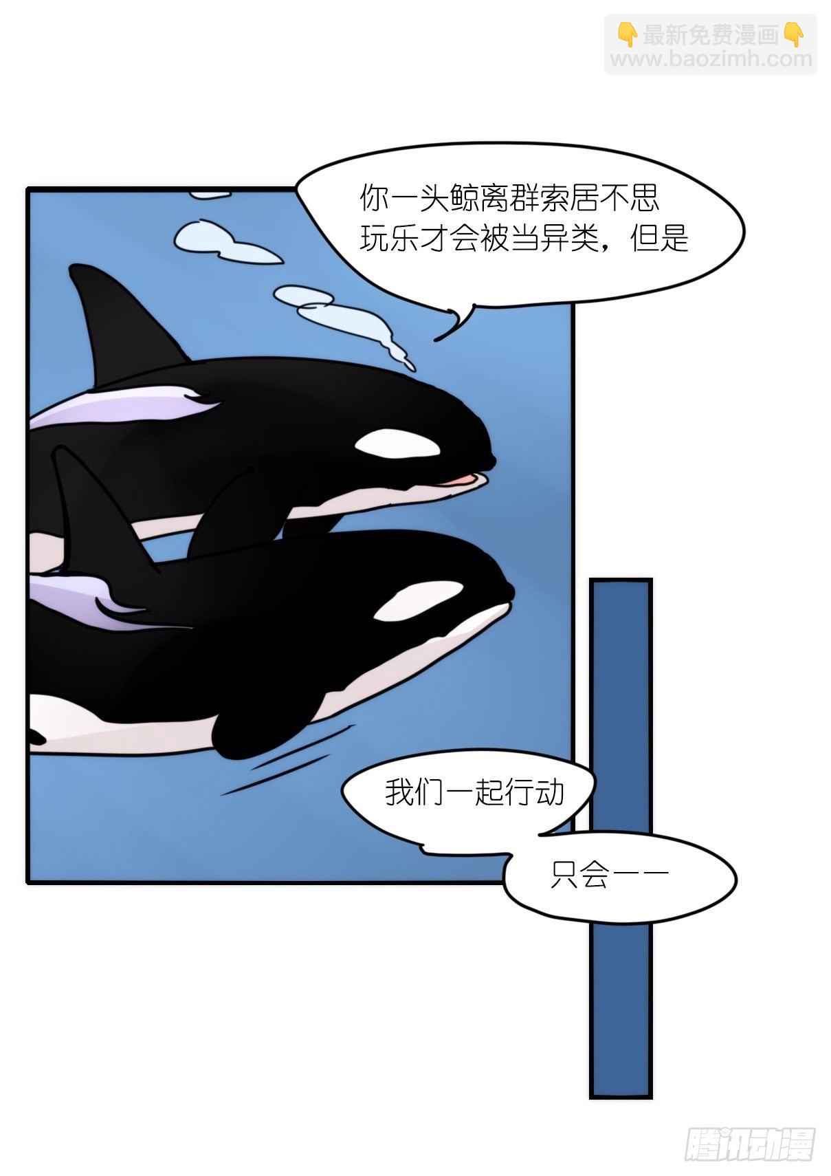 虎鲸篇：这些杀手不太冷09-第182话