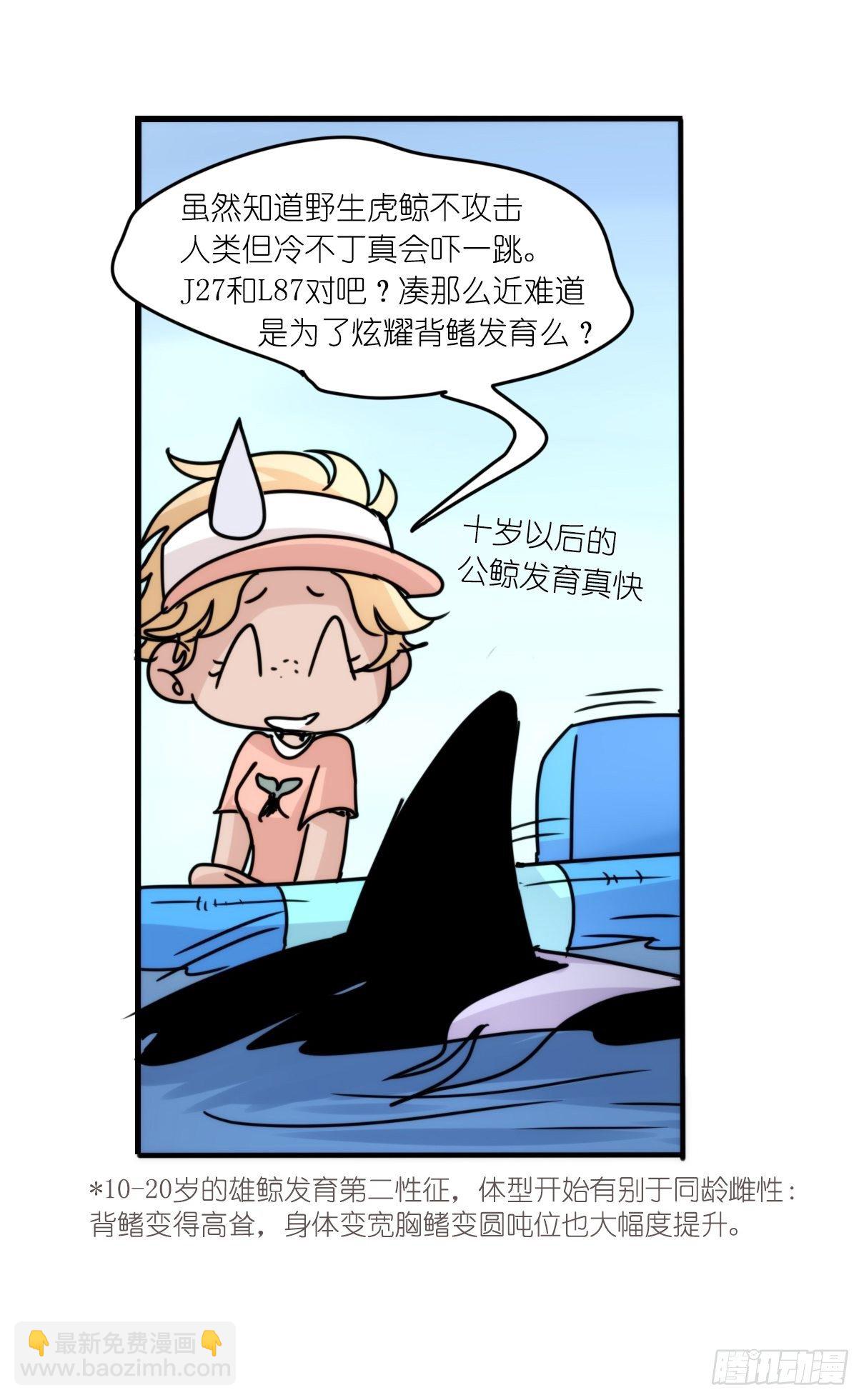 虎鲸篇：这些杀手不太冷09-第182话