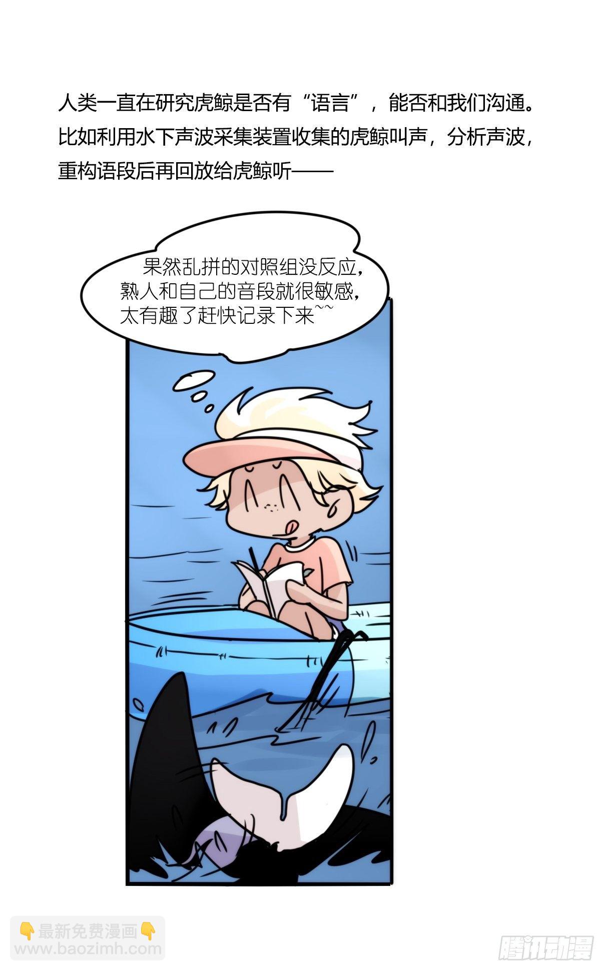 虎鲸篇：这些杀手不太冷09-第182话