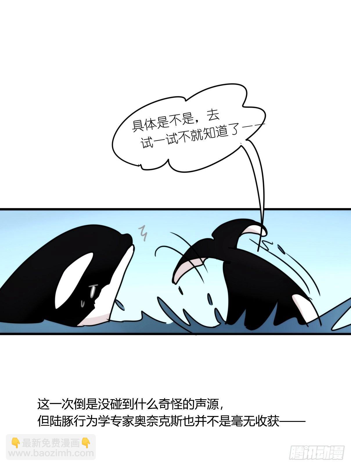 虎鲸篇：这些杀手不太冷11-第184话