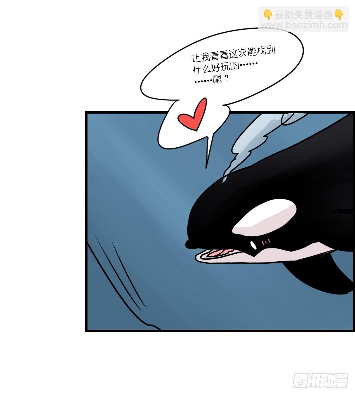虎鲸篇：这些杀手不太冷11-第184话