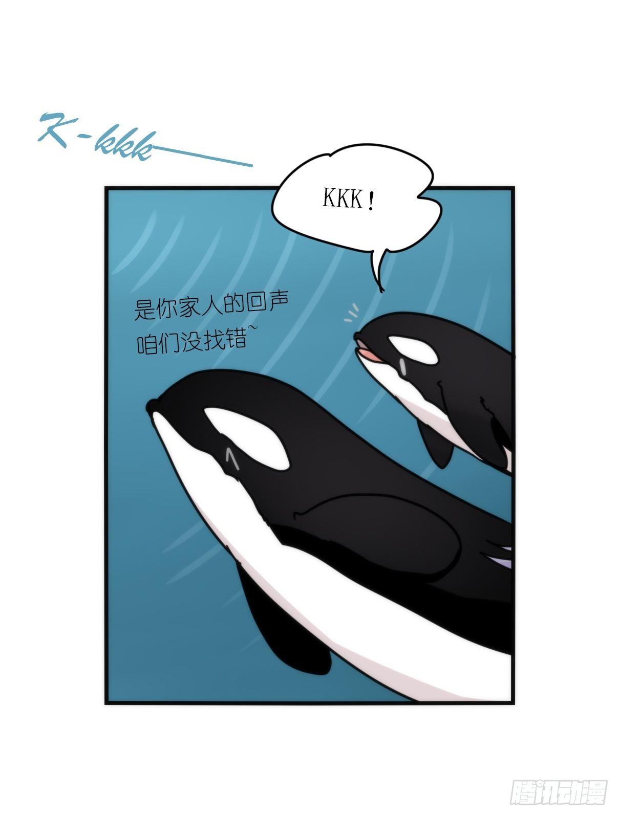 虎鲸篇：这些杀手不太冷13-第186话