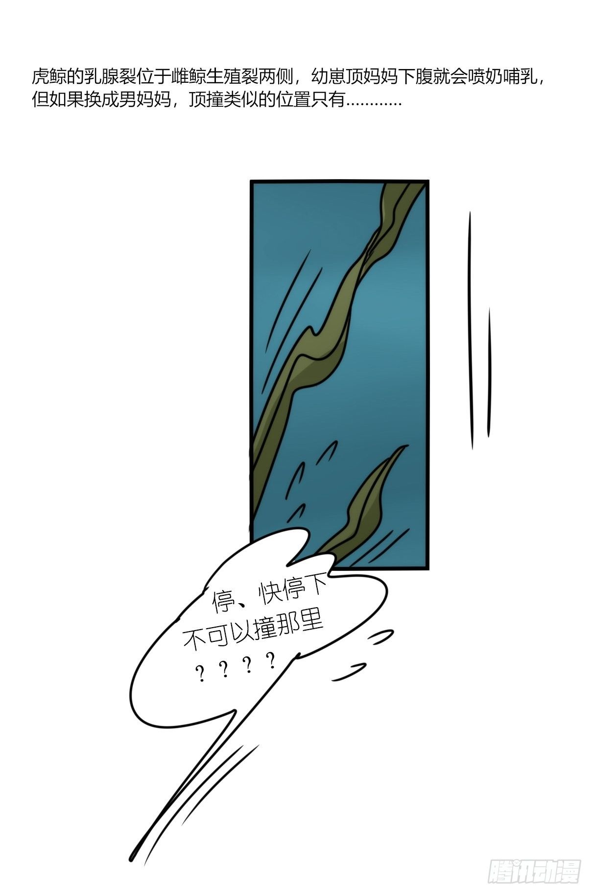虎鲸篇：这些杀手不太冷13-第186话