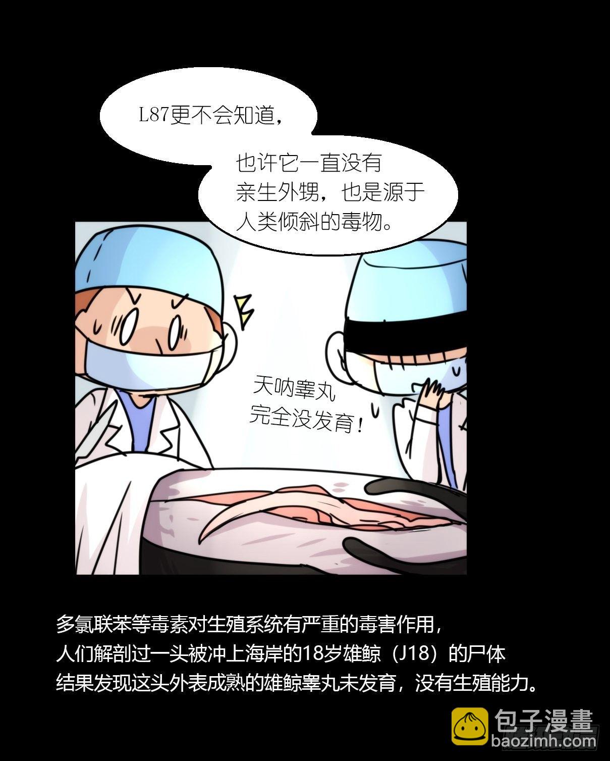 虎鲸篇：这些杀手不太冷15(1/2)-第188话