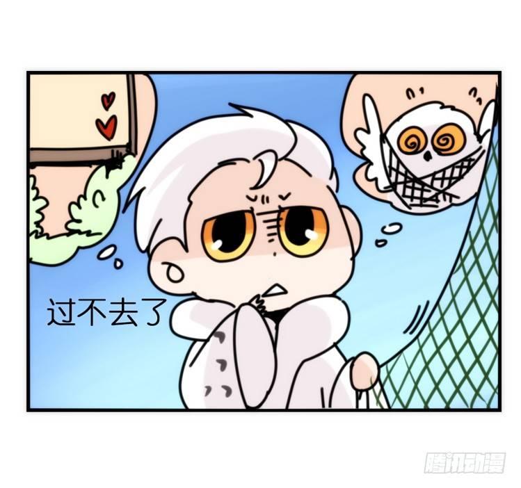 飞吧小少爷：注意风度呀！-第20话