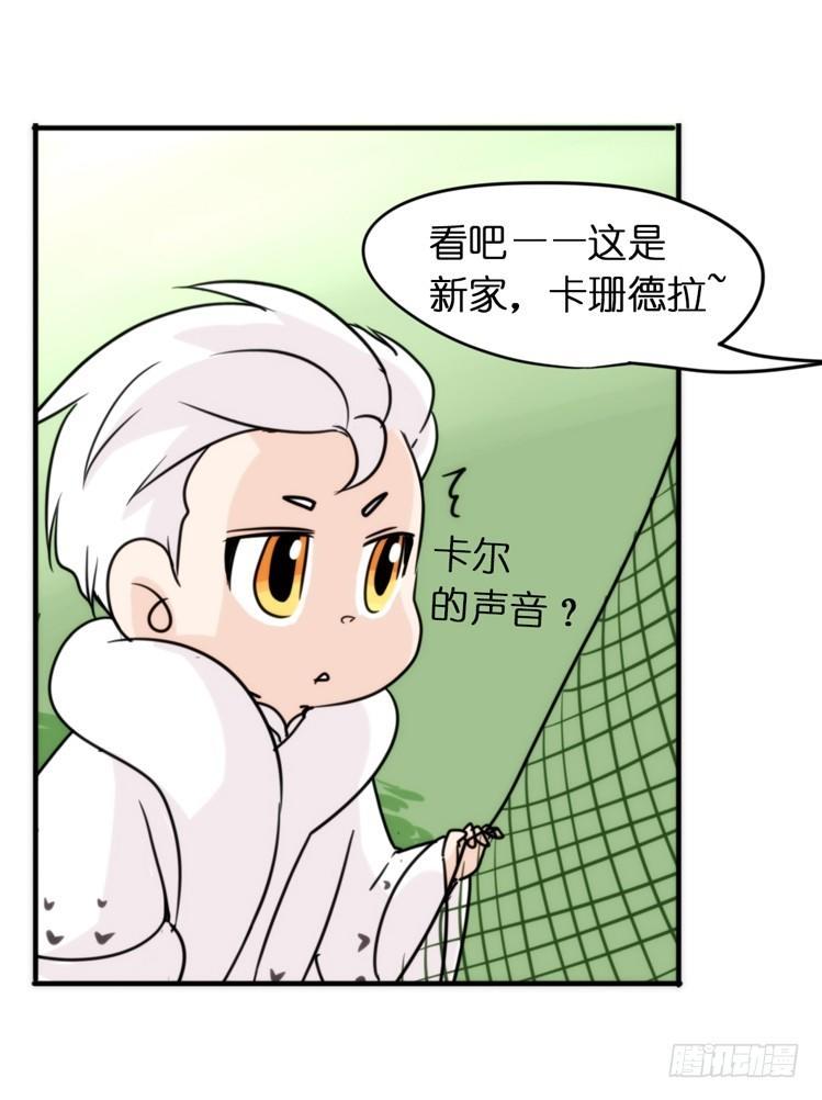 飞吧小少爷：注意风度呀！-第20话