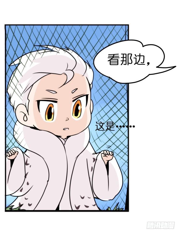 飞吧小少爷：注意风度呀！-第20话