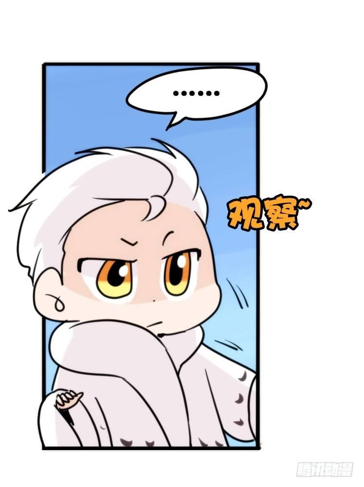 飞吧小少爷：注意风度呀！-第20话