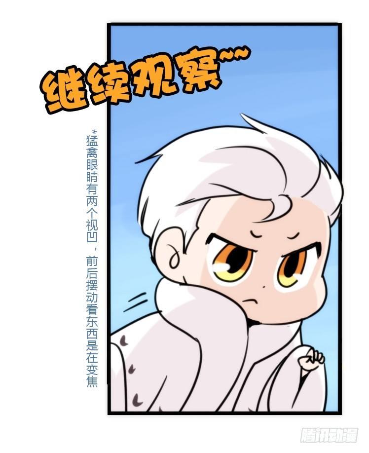 飞吧小少爷：注意风度呀！-第20话