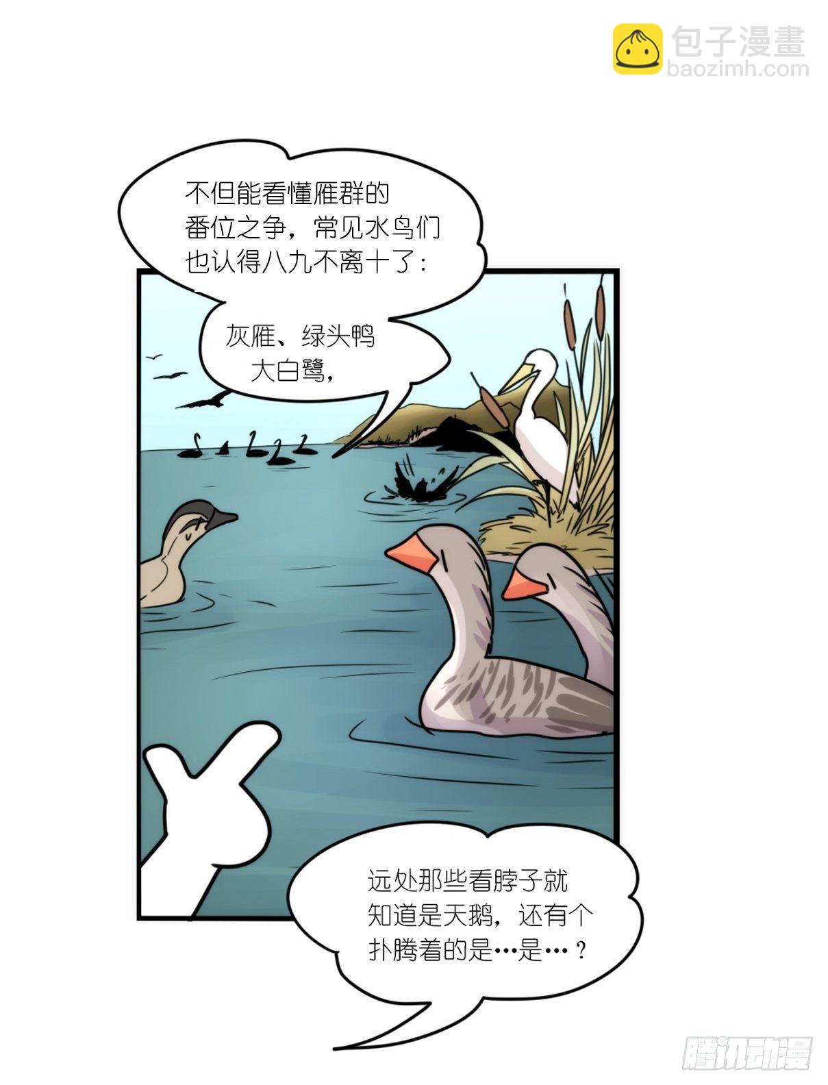 事业篇II：霸霸的本业-第196话