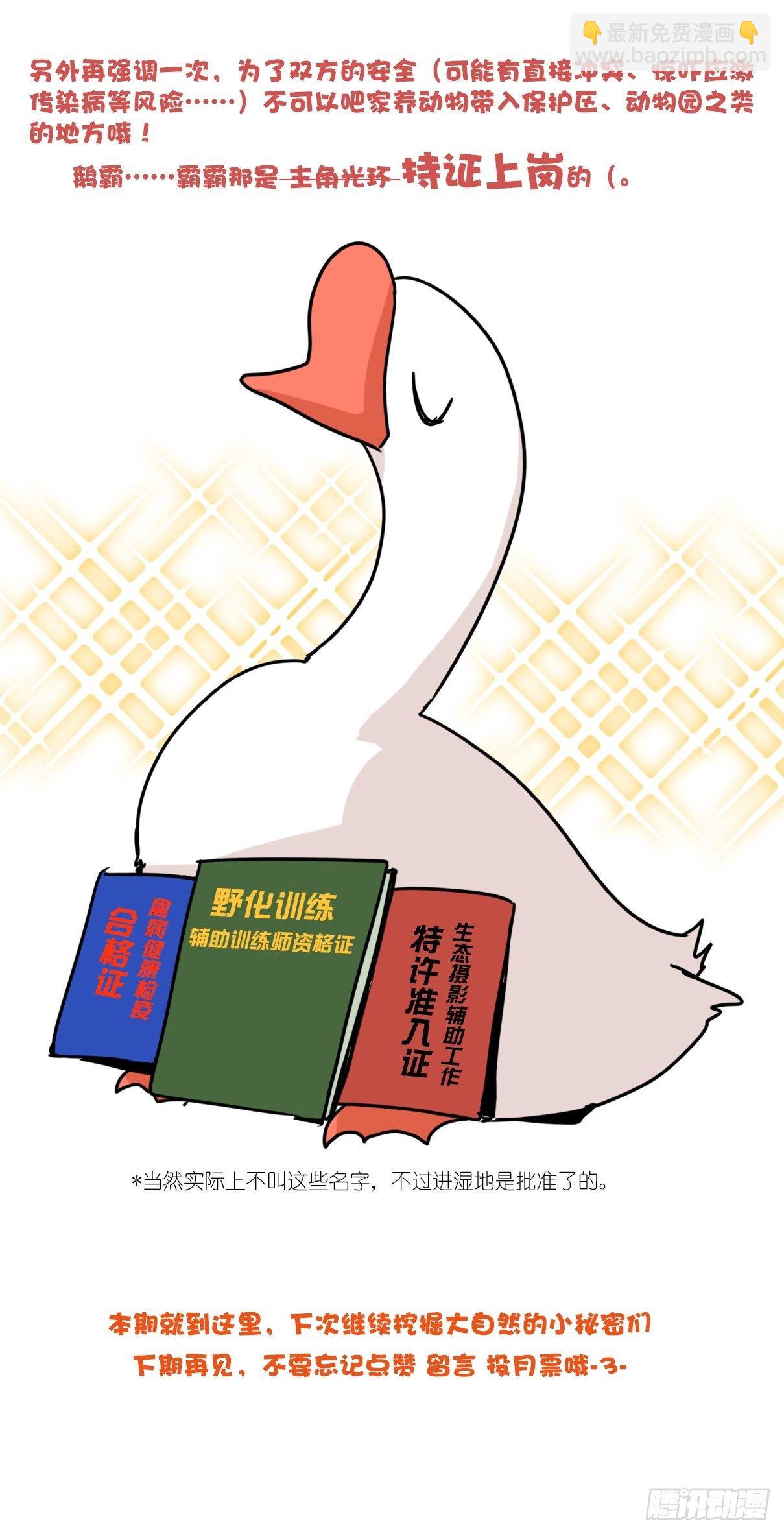 事业篇II：霸霸的本业-第196话