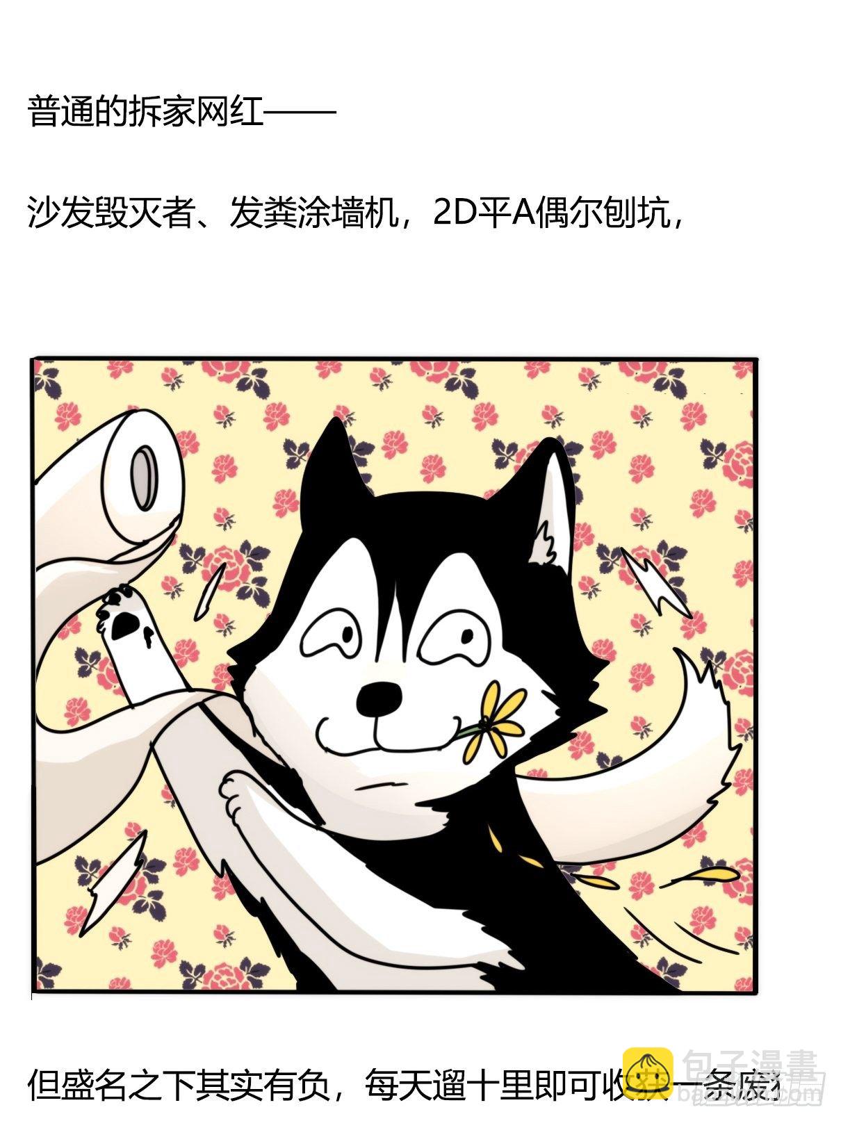 事业篇II：更大的麻烦-下-第202话