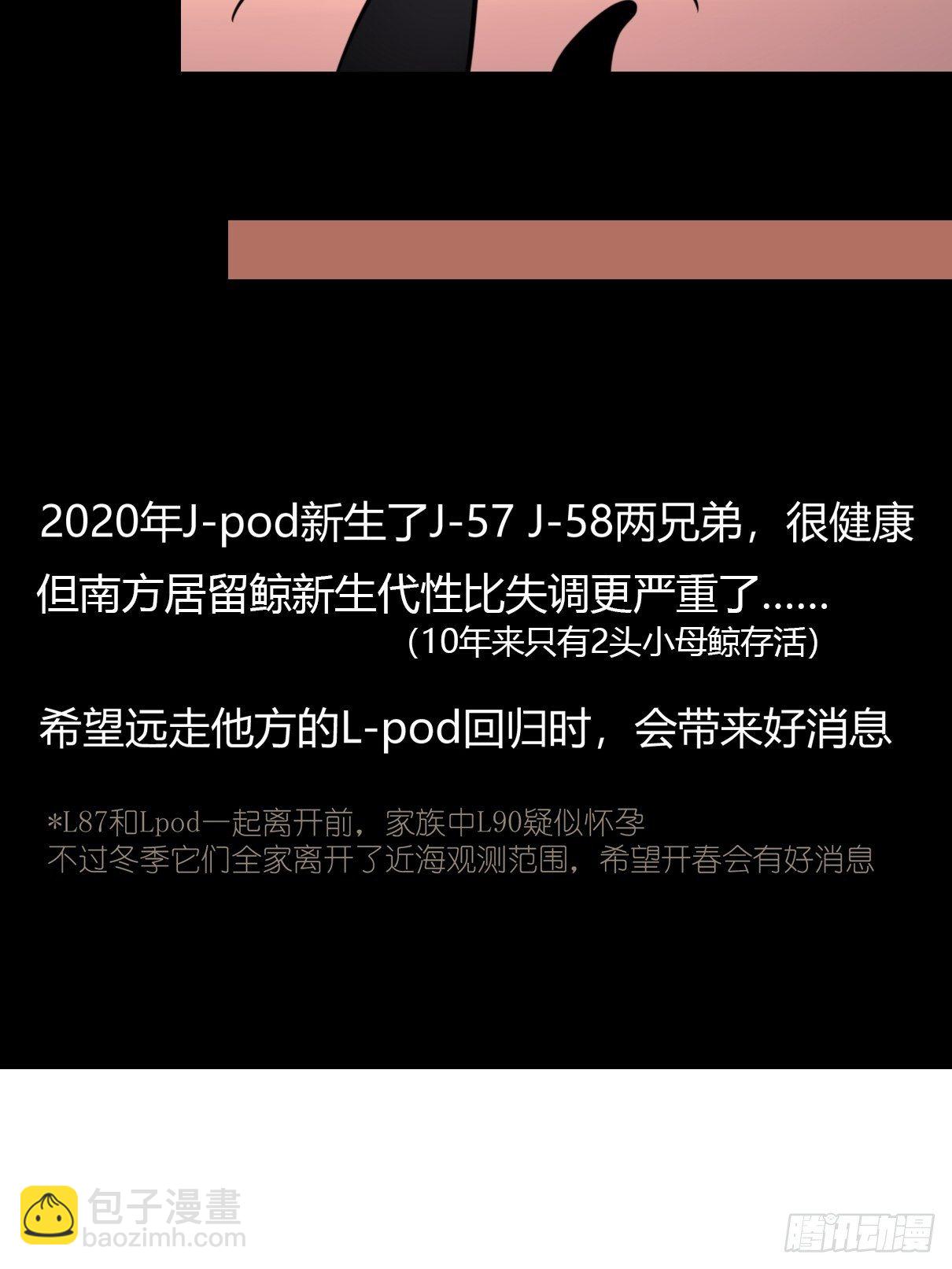事业篇II：各自的故事-第204话