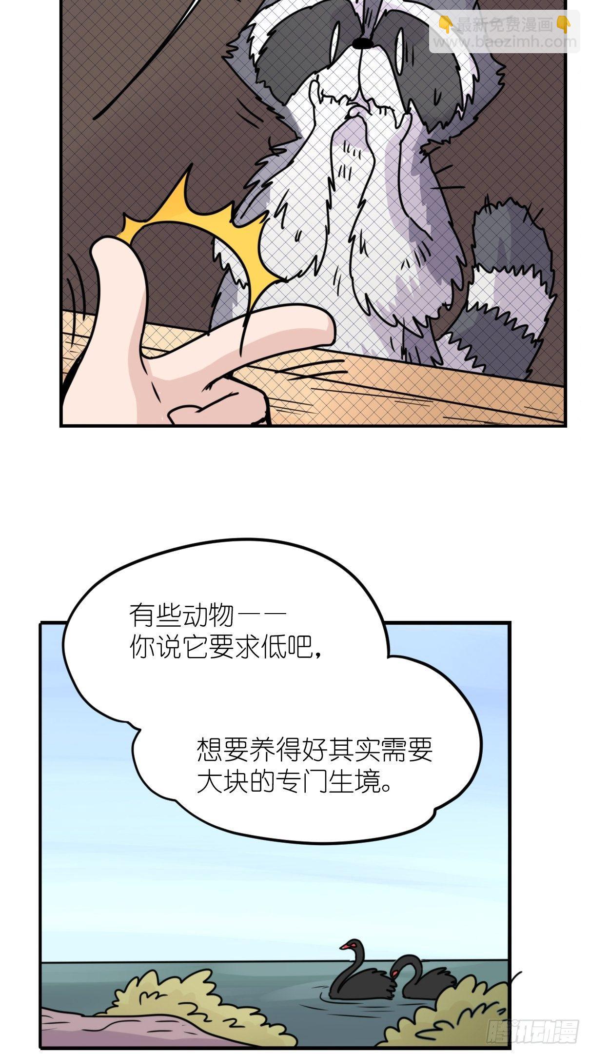 事业篇II：各自的故事-第204话