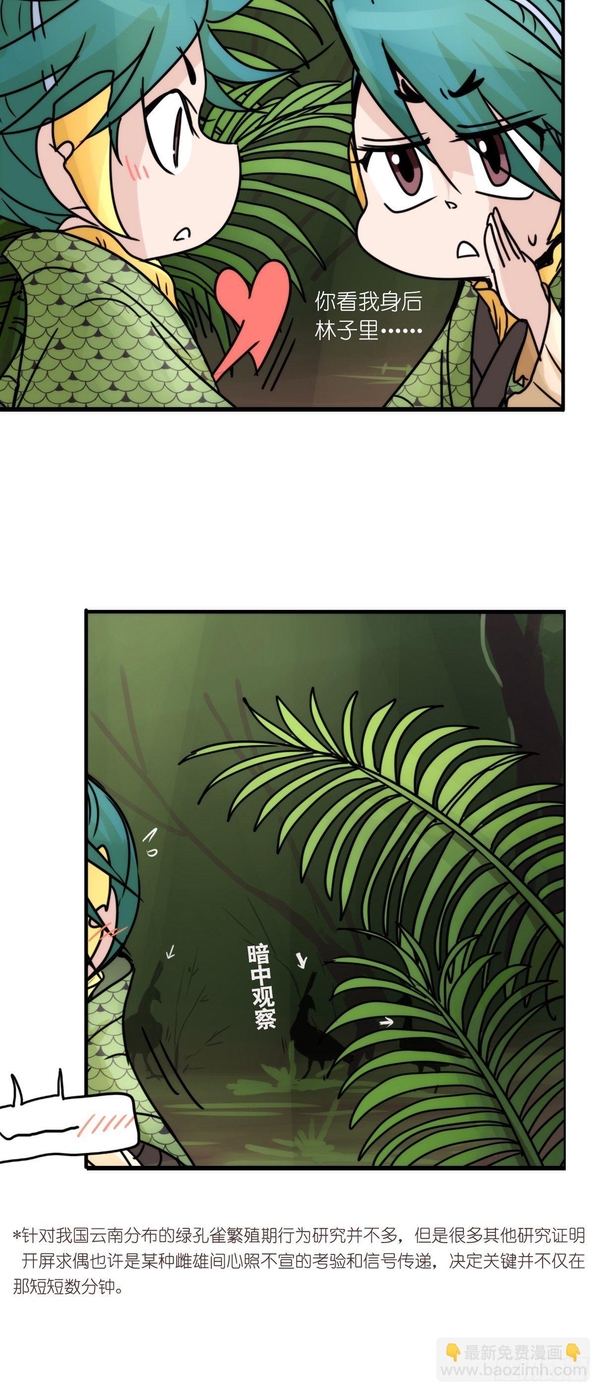 事业篇II：致绿孔雀02-第206话