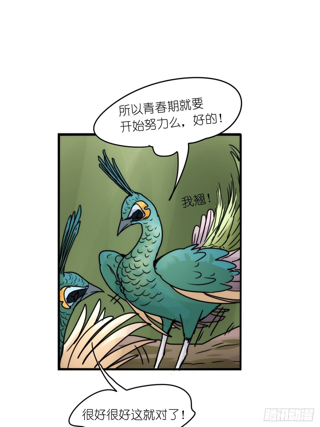 事业篇II：致绿孔雀02-第206话