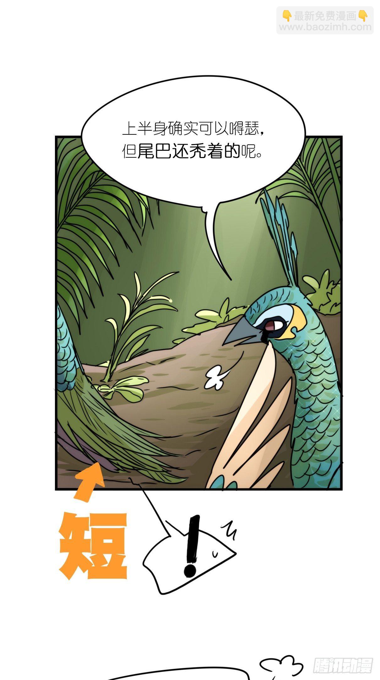 事业篇II：致绿孔雀02-第206话