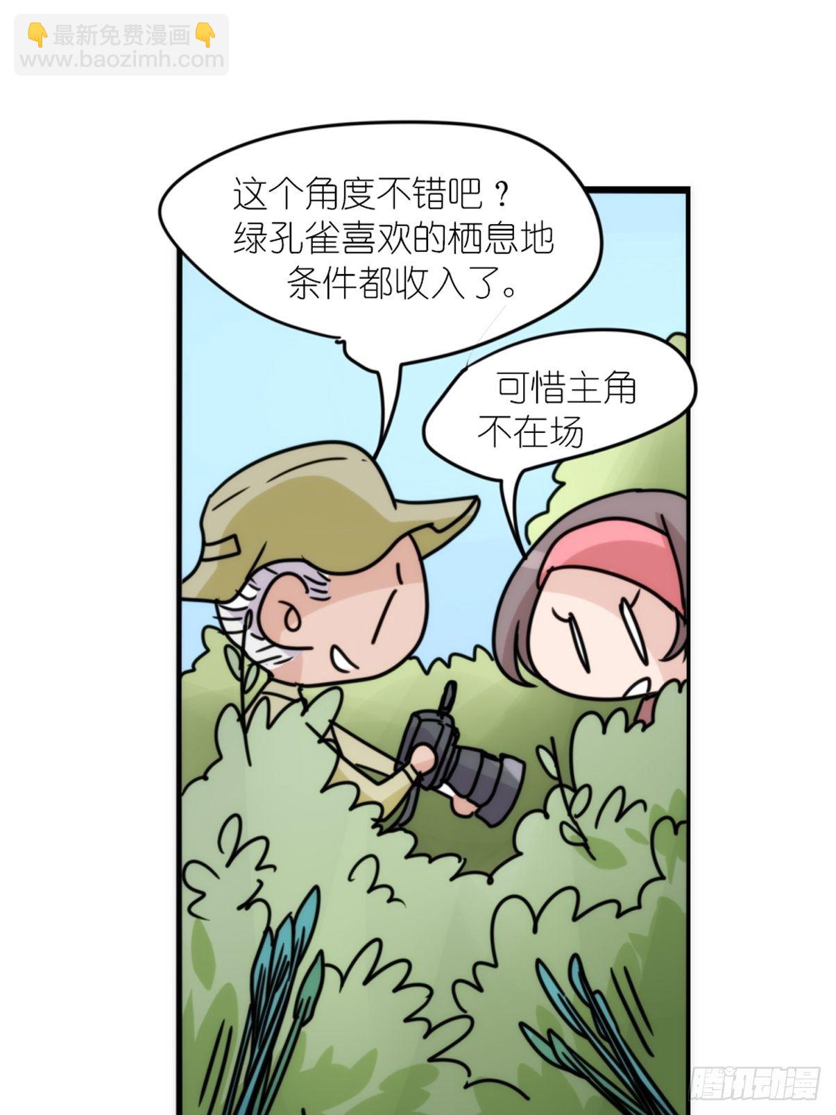 事业篇II：致绿孔雀04-第208话