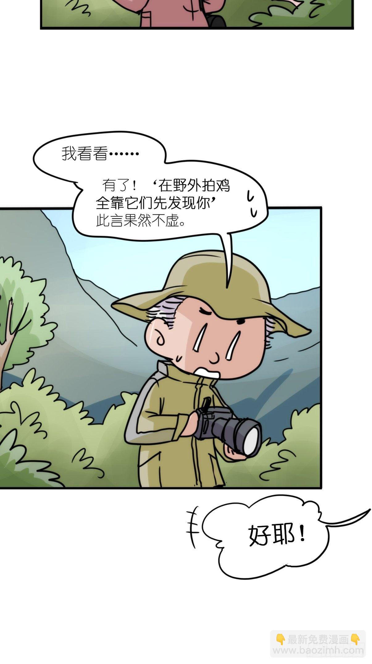 事业篇II：致绿孔雀04-第208话