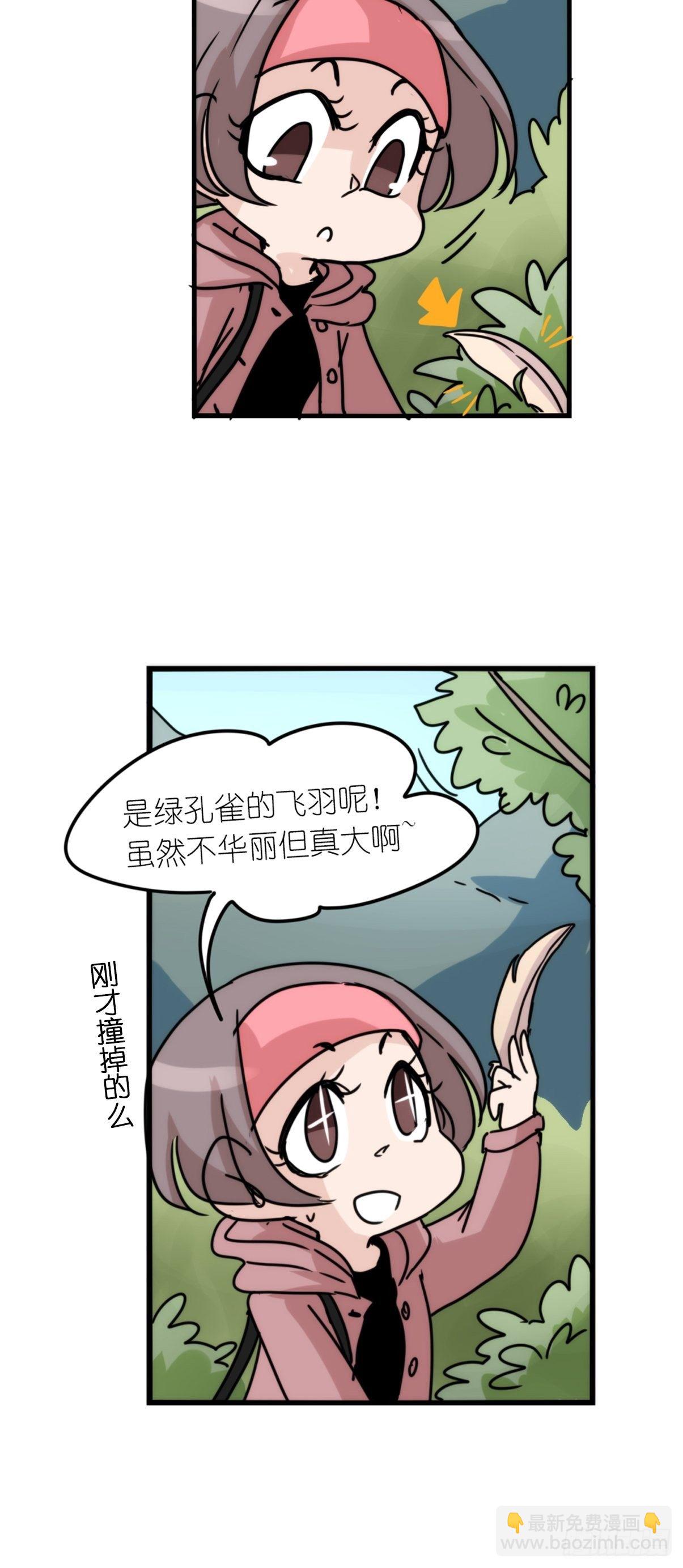 事业篇II：致绿孔雀04-第208话