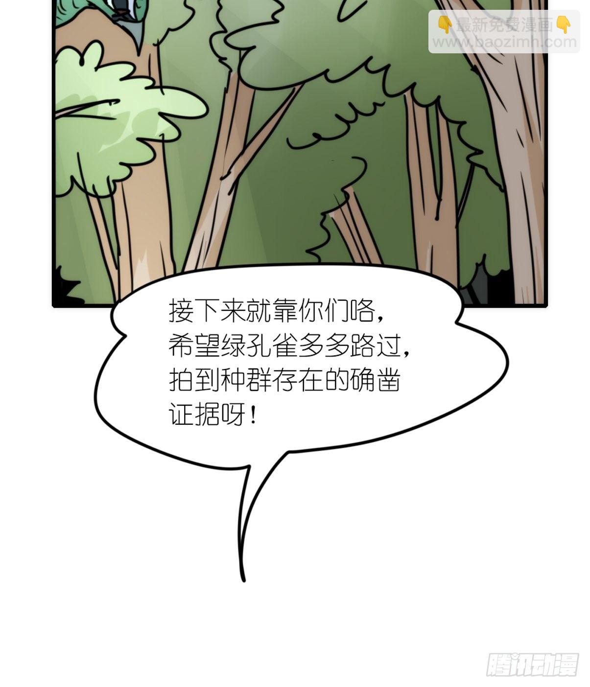 事业篇II：致绿孔雀04-第208话