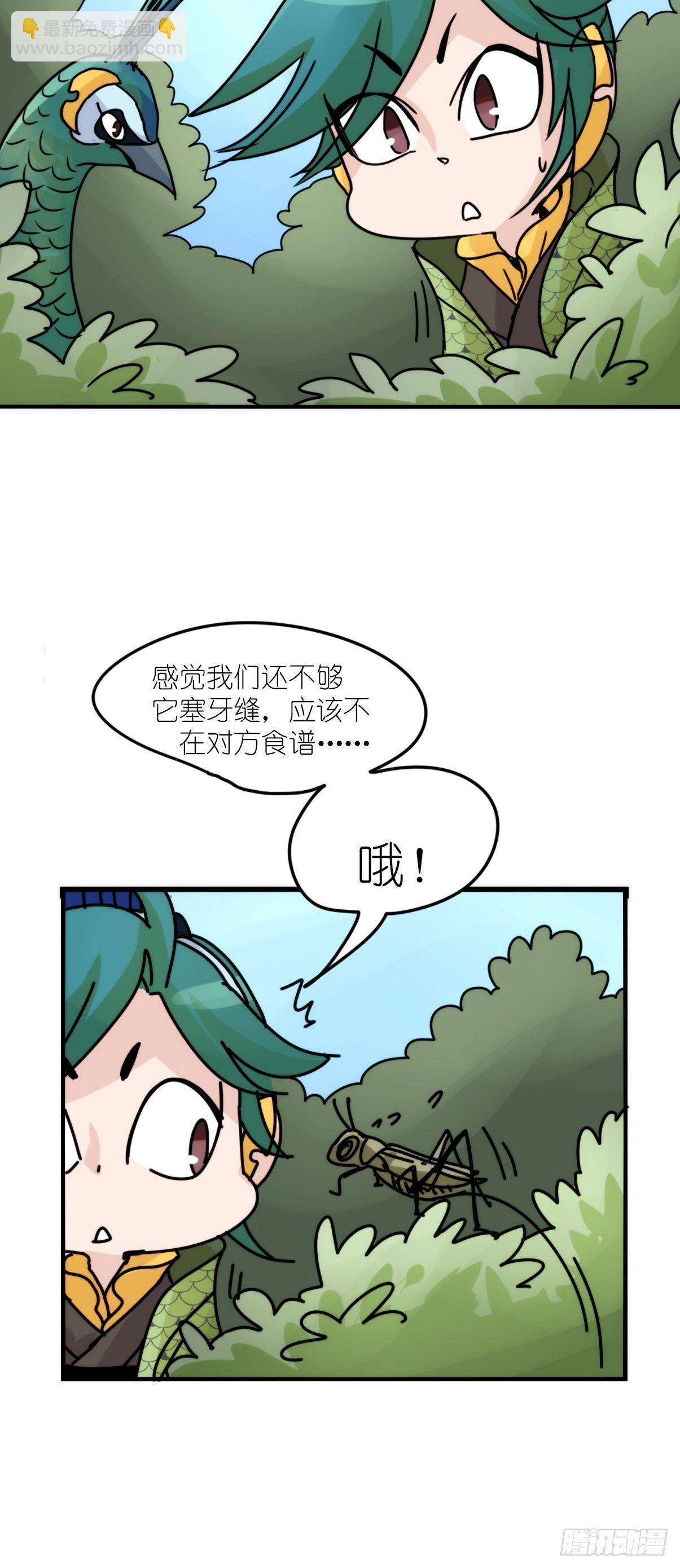 事业篇II：致绿孔雀04-第208话