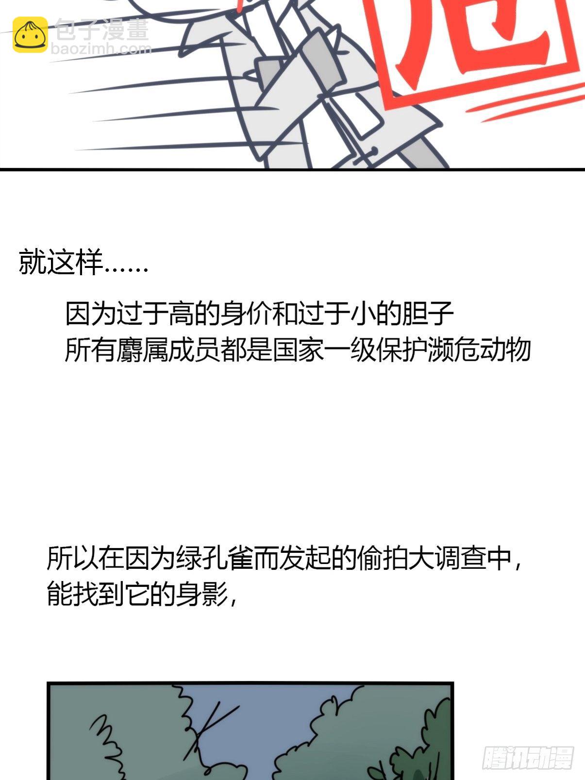 事业篇II：一堂种群恢复课01-第210话