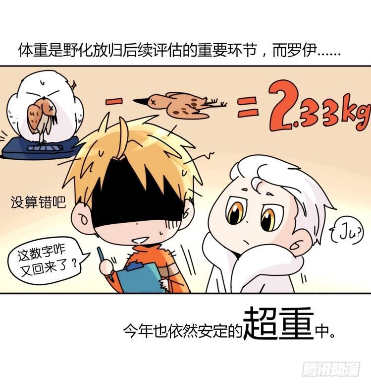 飞吧小少爷：真相大白之日-第22话