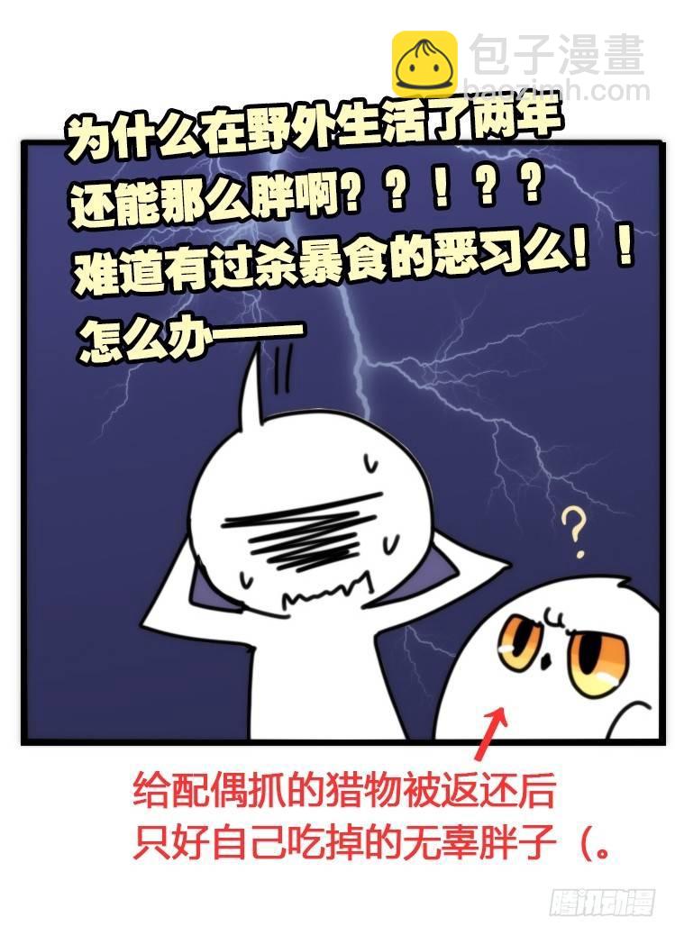 飞吧小少爷：真相大白之日-第22话