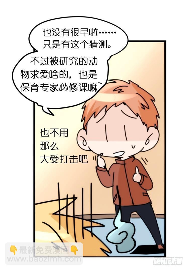 飞吧小少爷：真相大白之日-第22话