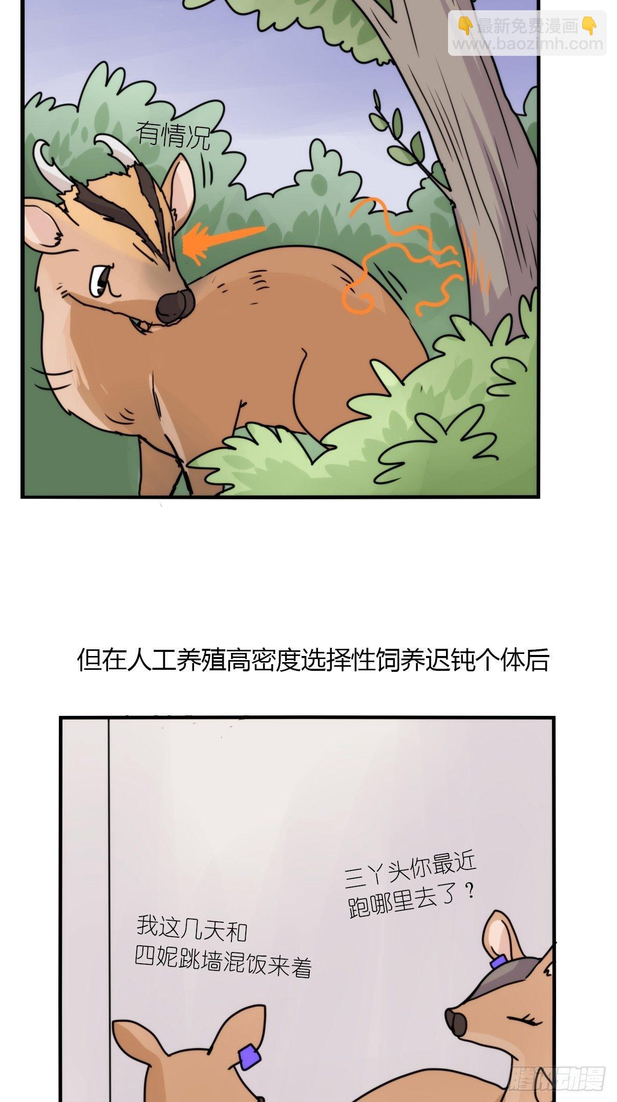 事业篇II：一堂种群恢复课03-第212话