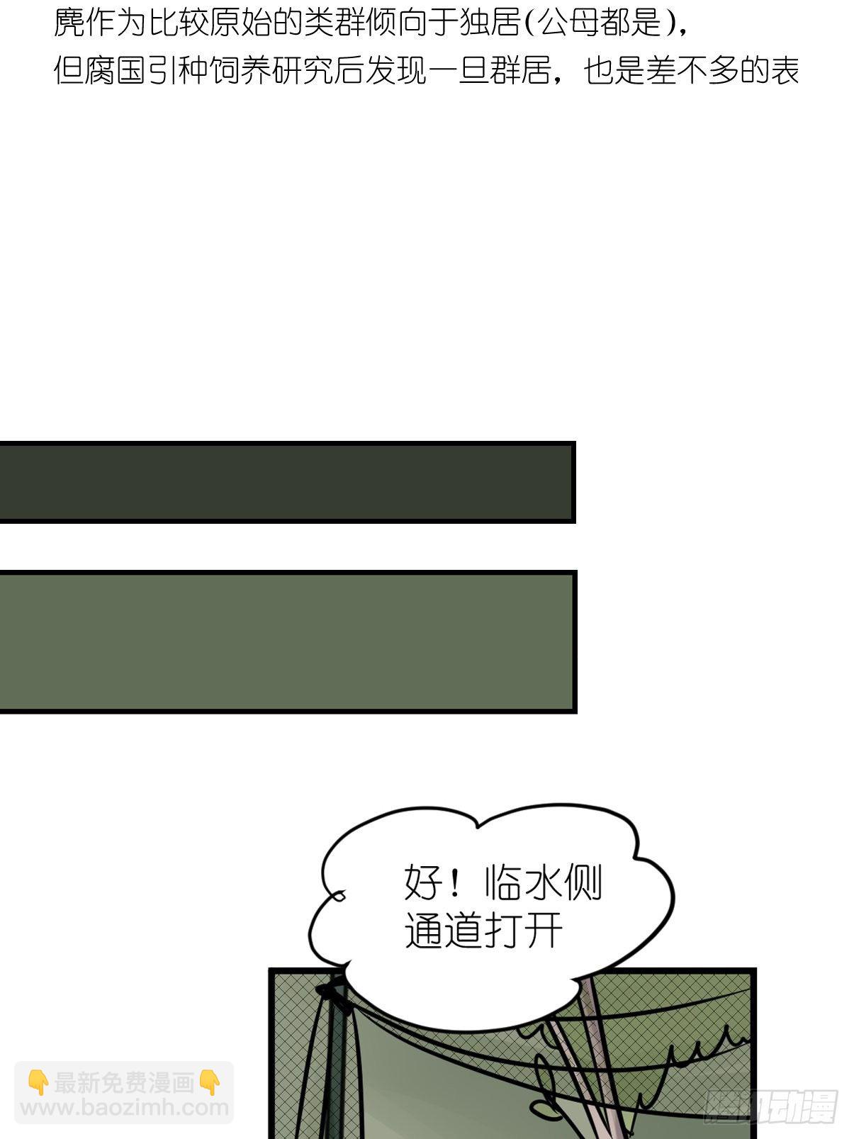 事业篇II：一堂种群恢复课05-第214话
