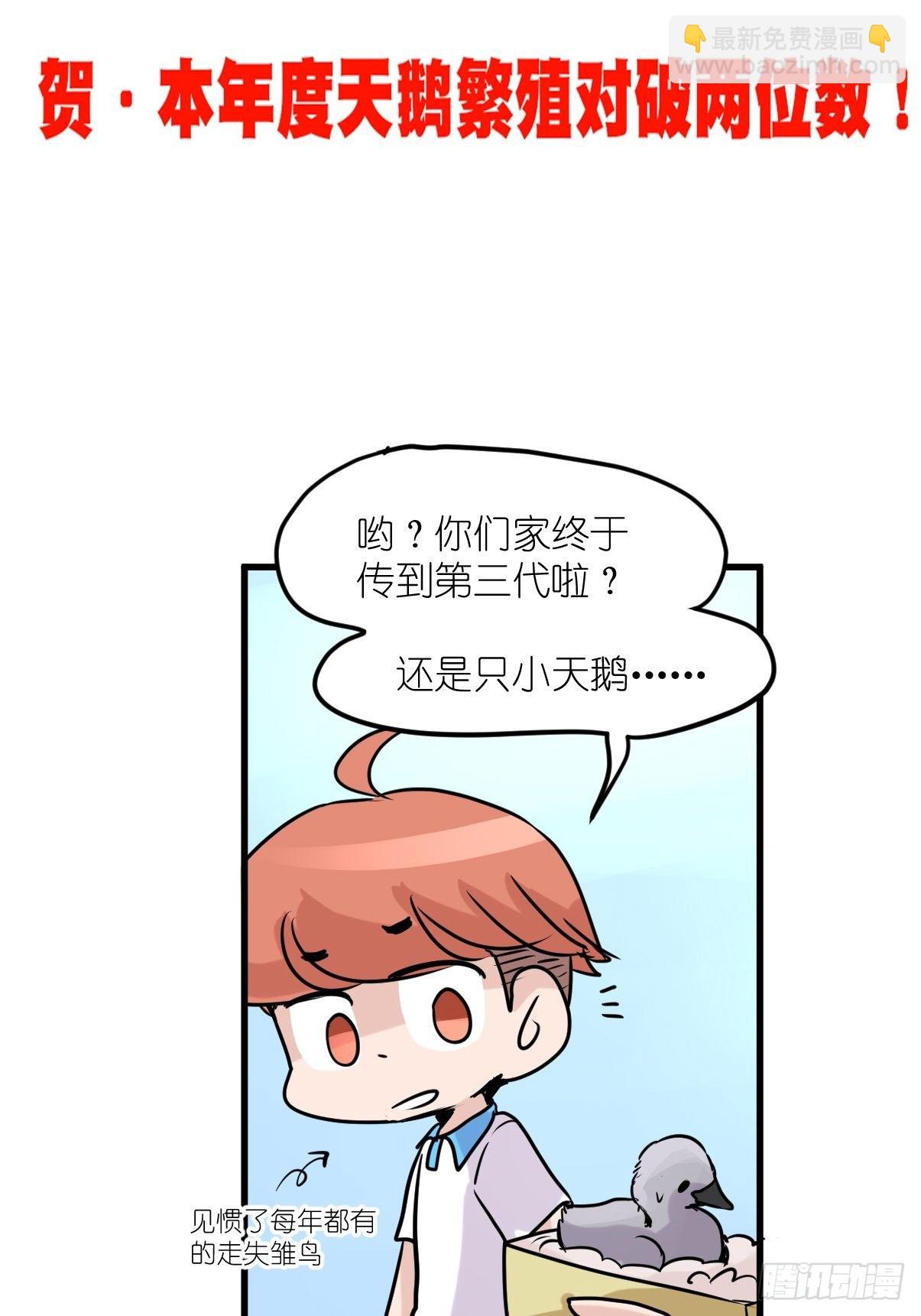 事业篇II：一堂种群恢复课05-第214话