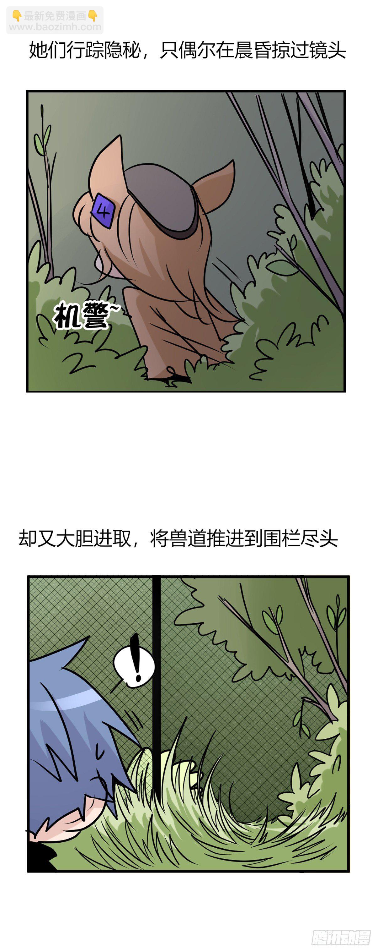 事业篇II：一堂种群恢复课05-第214话