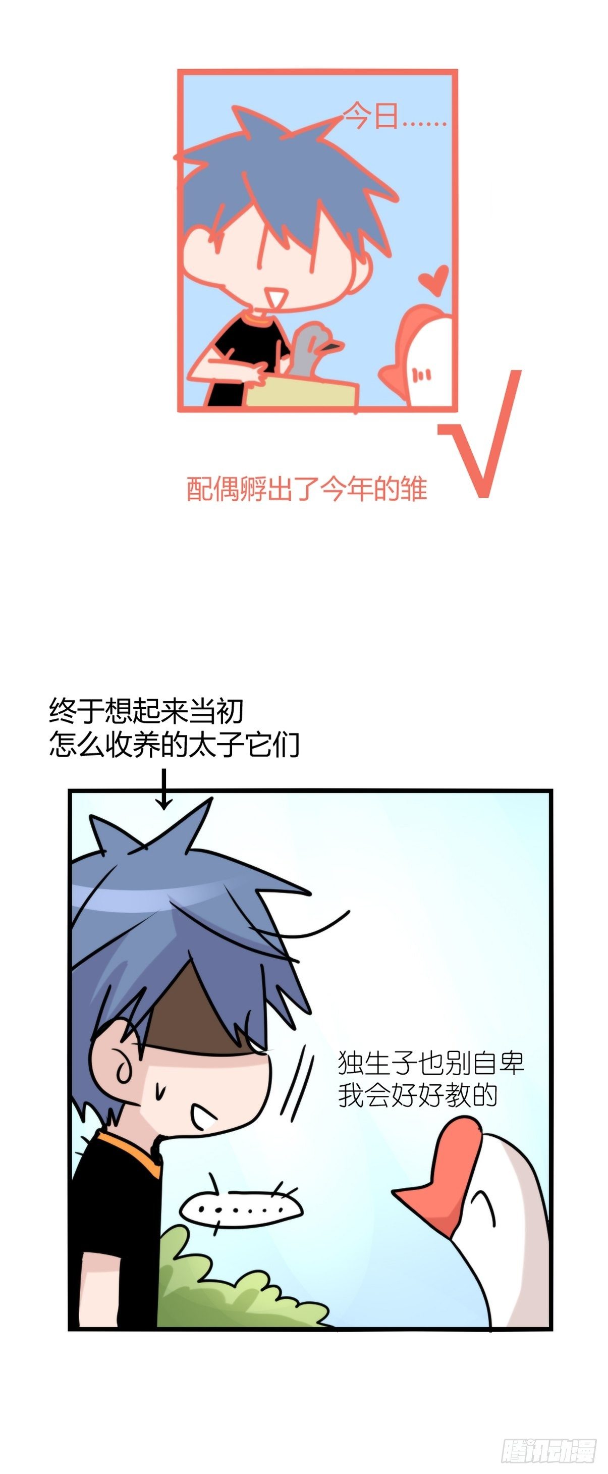 事业篇II：一堂种群恢复课07-第216话
