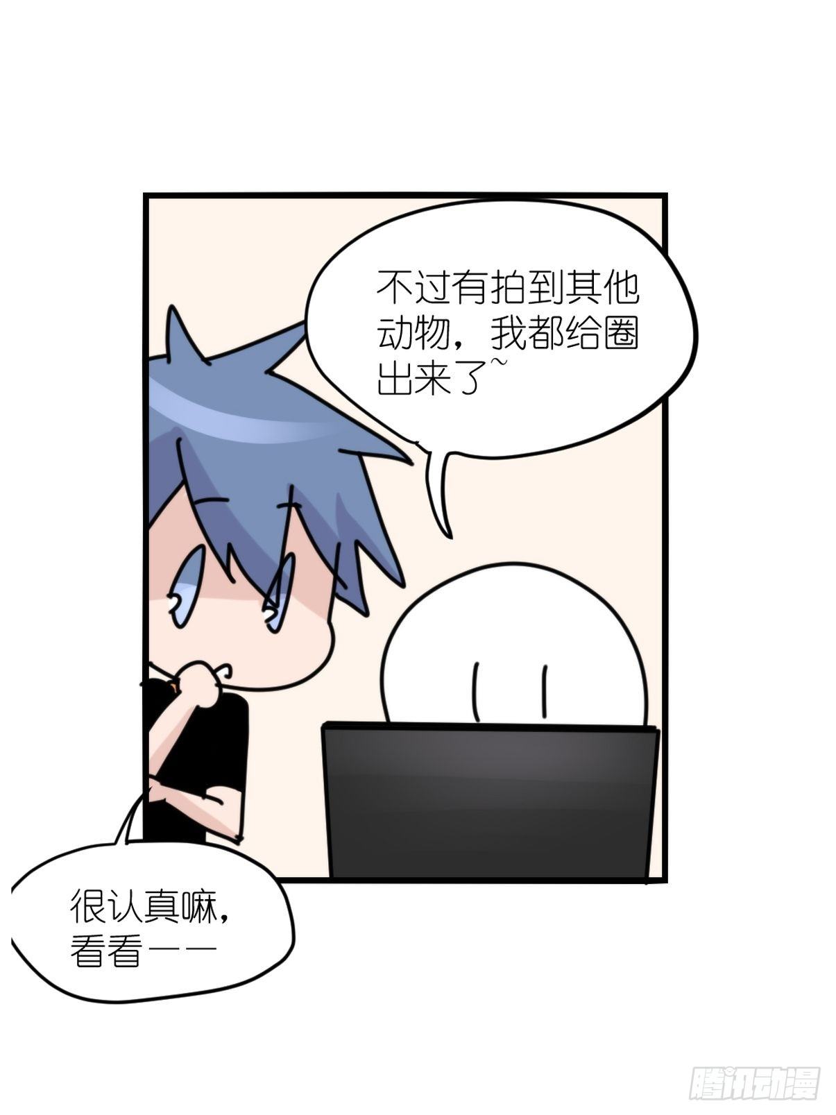 事业篇II：一堂种群恢复课07-第216话