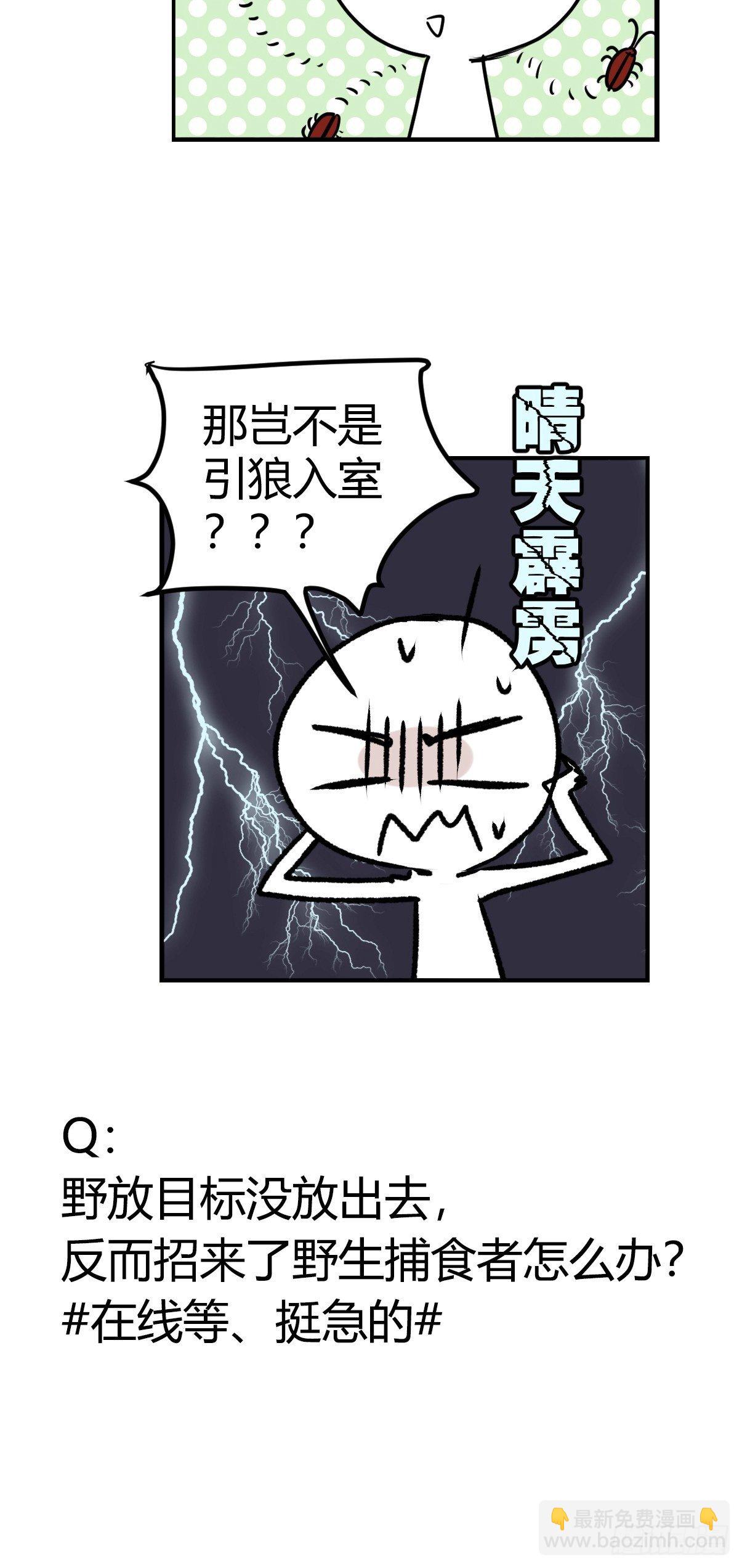事业篇II：一堂种群恢复课07-第216话