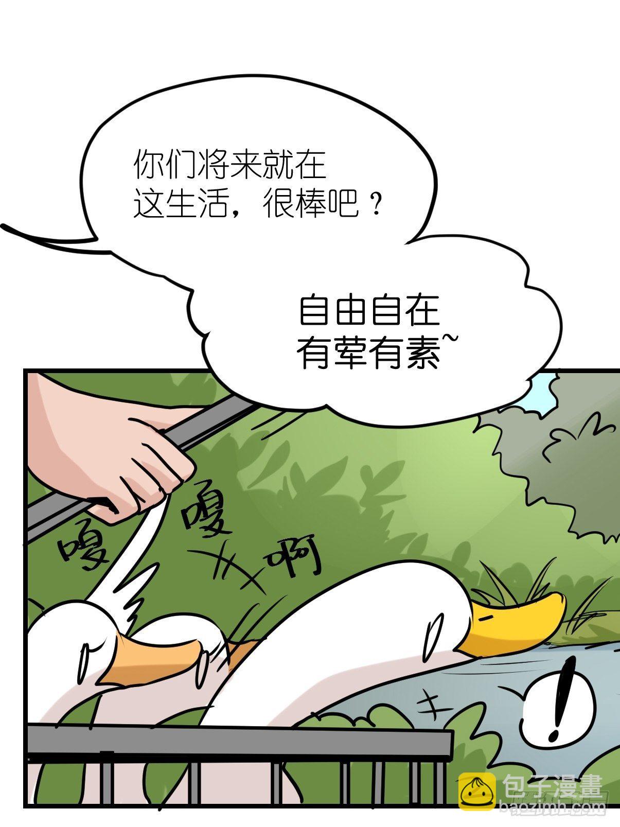 事业篇II：鸭鸭的奇妙冒险&middot;中-第220话