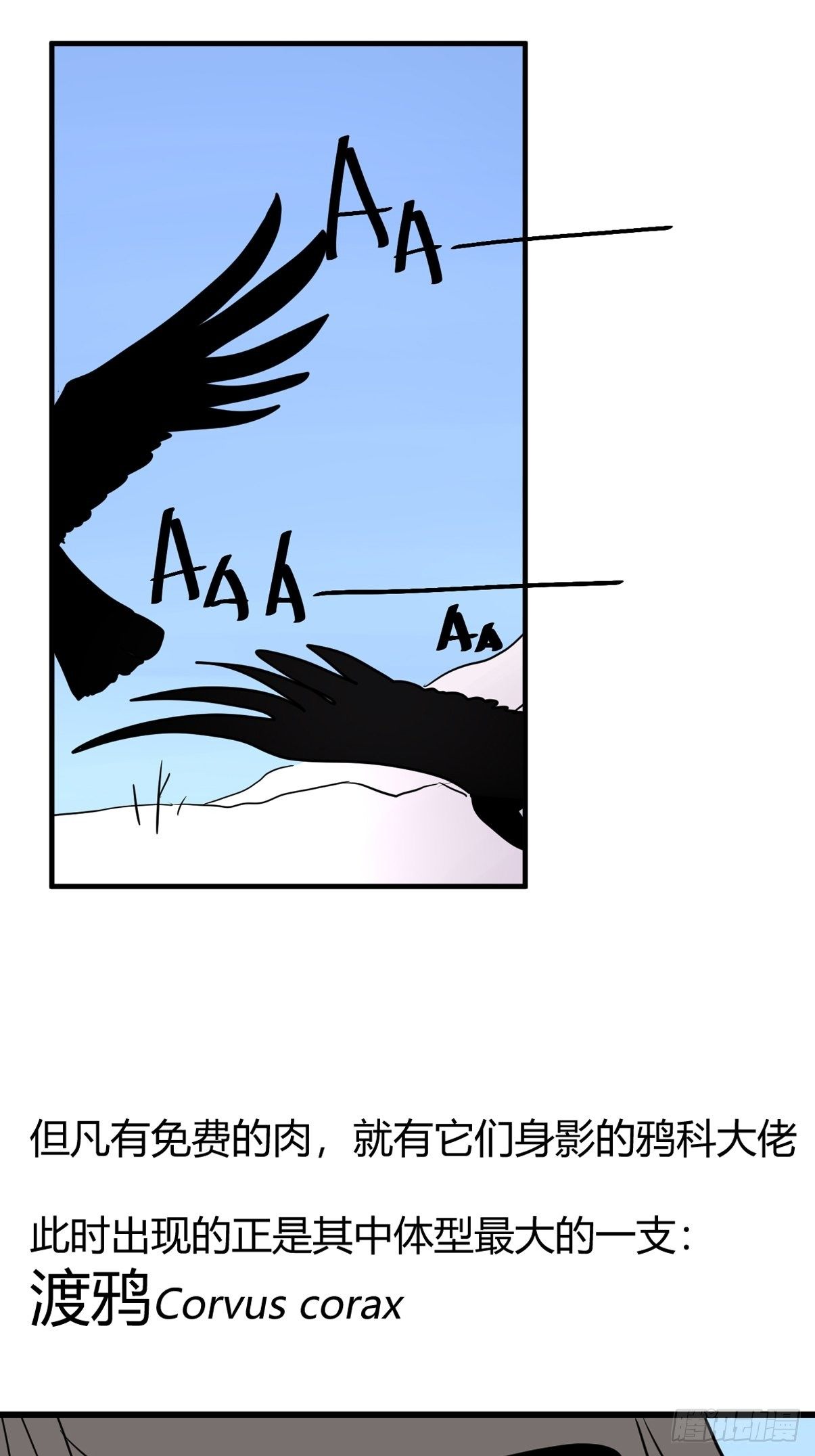 事业篇II：那个著名的故事&hellip;&hellip;(1/2)-第222话
