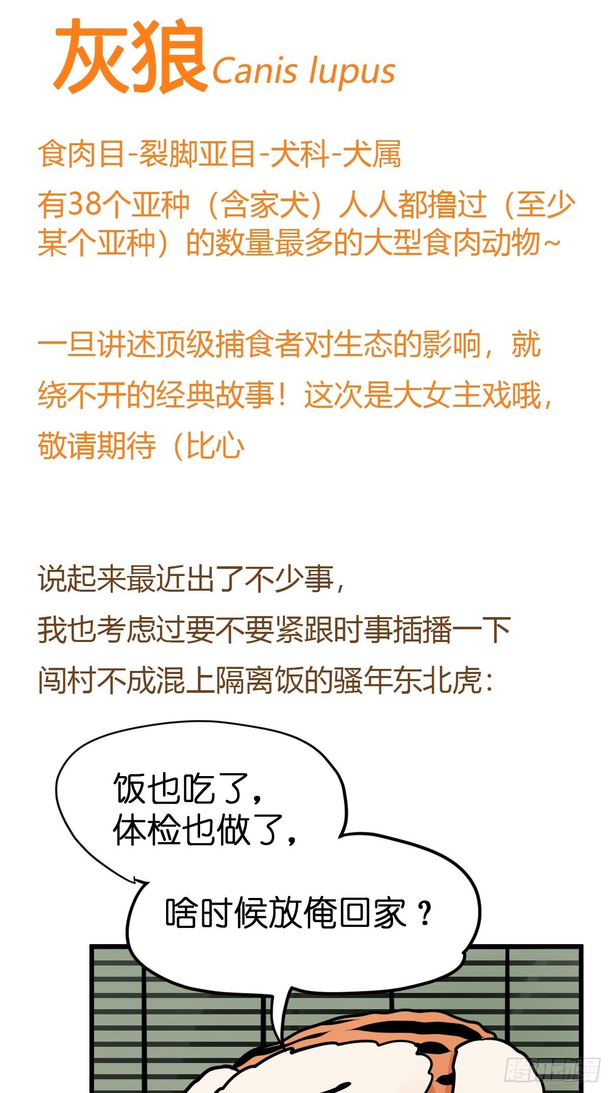 事业篇II：那个著名的故事&hellip;&hellip;(1/2)-第222话