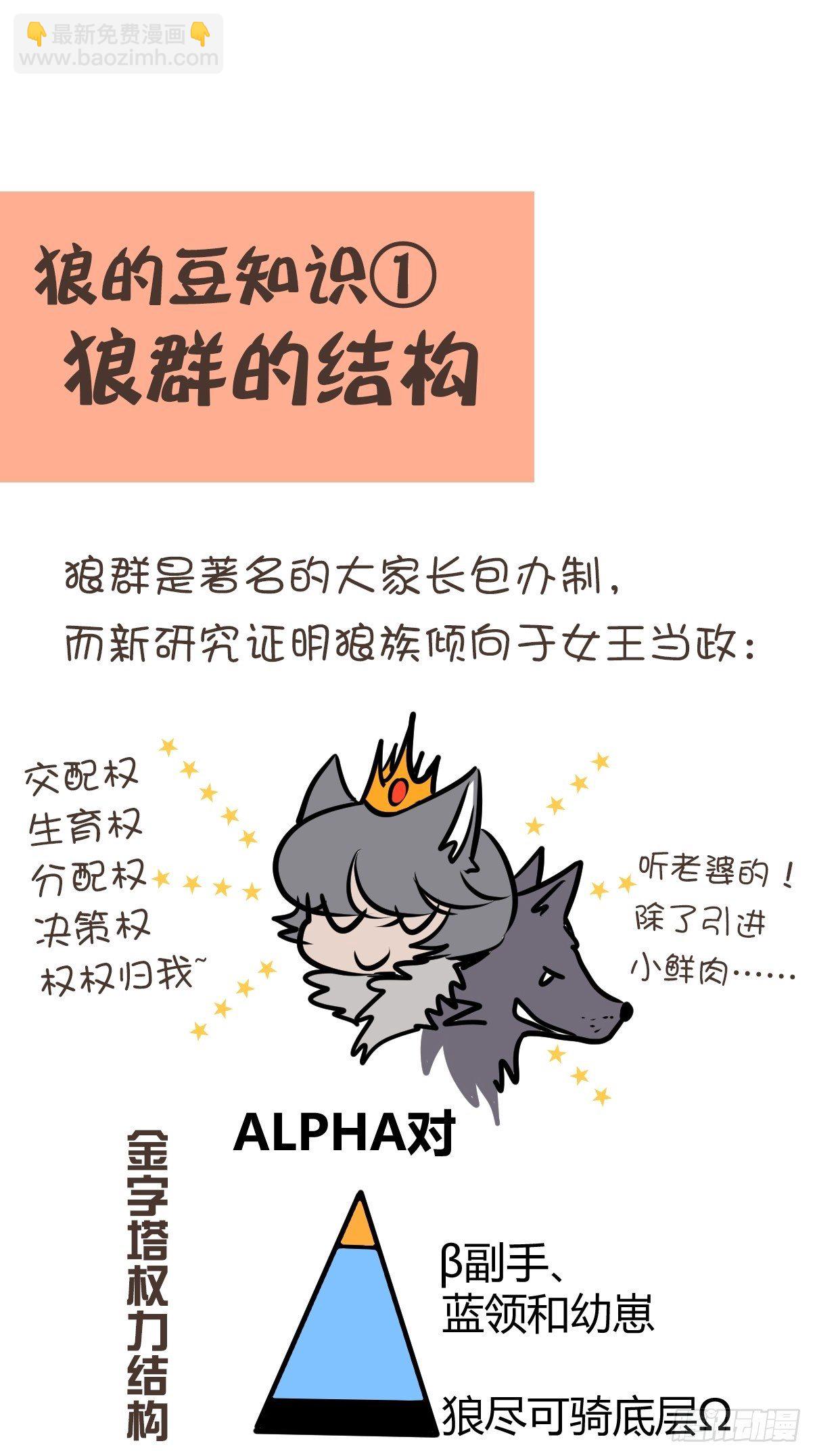 狼传奇：女主角的条件-第224话