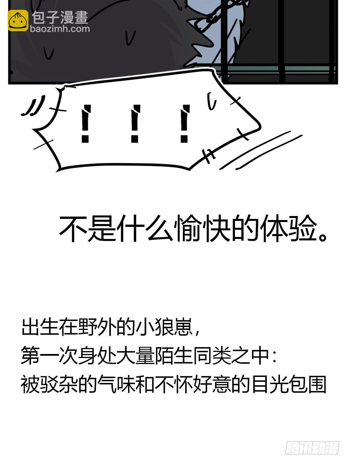 狼传奇：生存的哲学-第226话