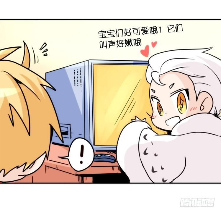 飞吧小少爷：寻找-第24话