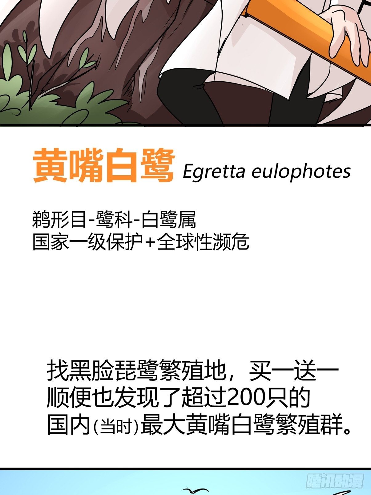 四海篇02：升星天团飞到！(1/2)-第234话